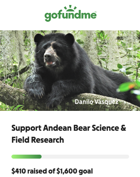 Screenshot 2025-12-27 at 4.13.23 PM